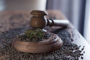 Cannabis and the Endocannabinoid System