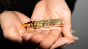 Champaign Attorneys for Marijuana Possession for Parkinson’s Disease