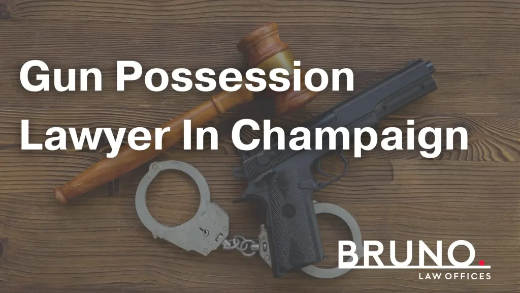 Gun Possession Lawyer In Champaign Image