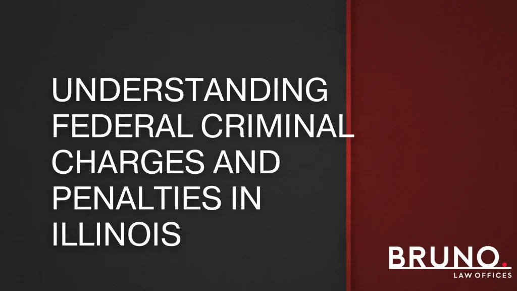 Understanding Federal Criminal Charges and Penalties in Illinois