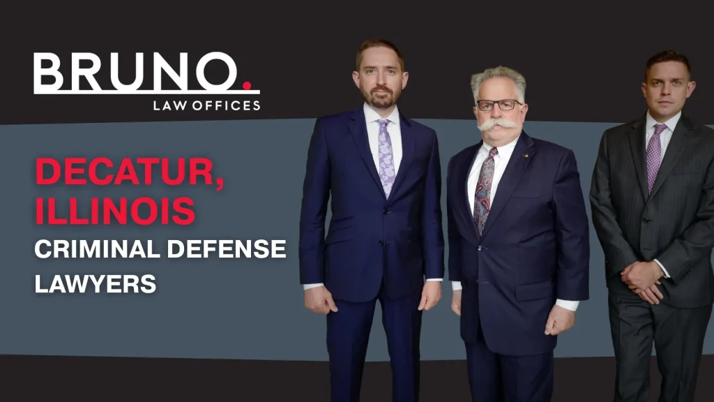 Decatur, Illinois PA image