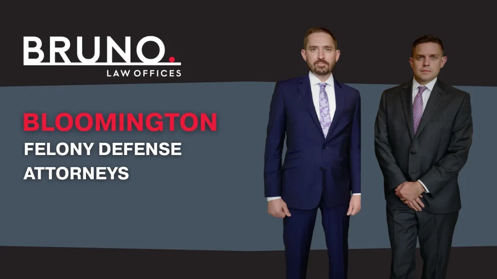 Felony Defense Attorneys Image