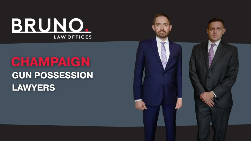 Gun Possession Lawyers Image