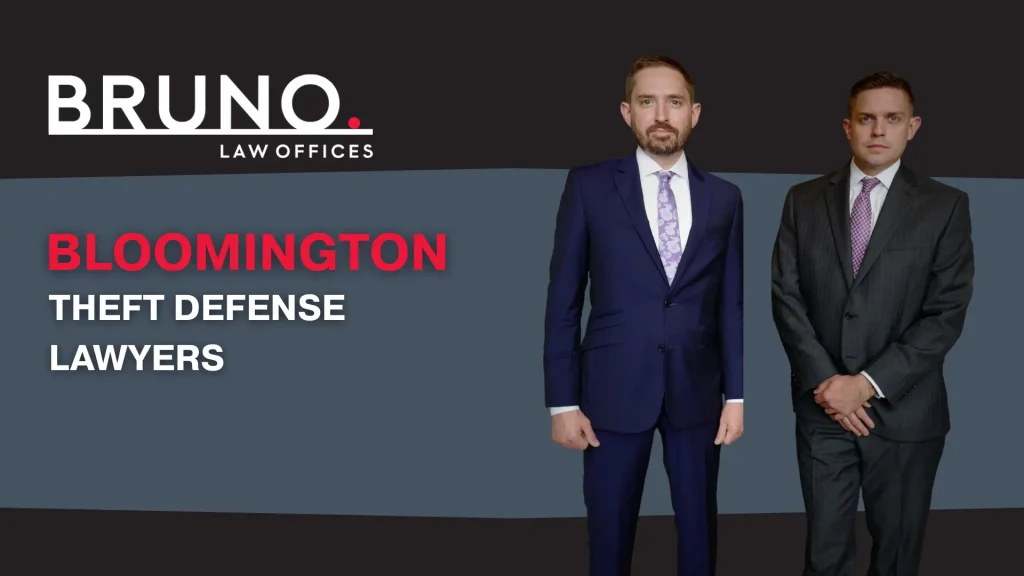 Theft Defense Lawyers Image