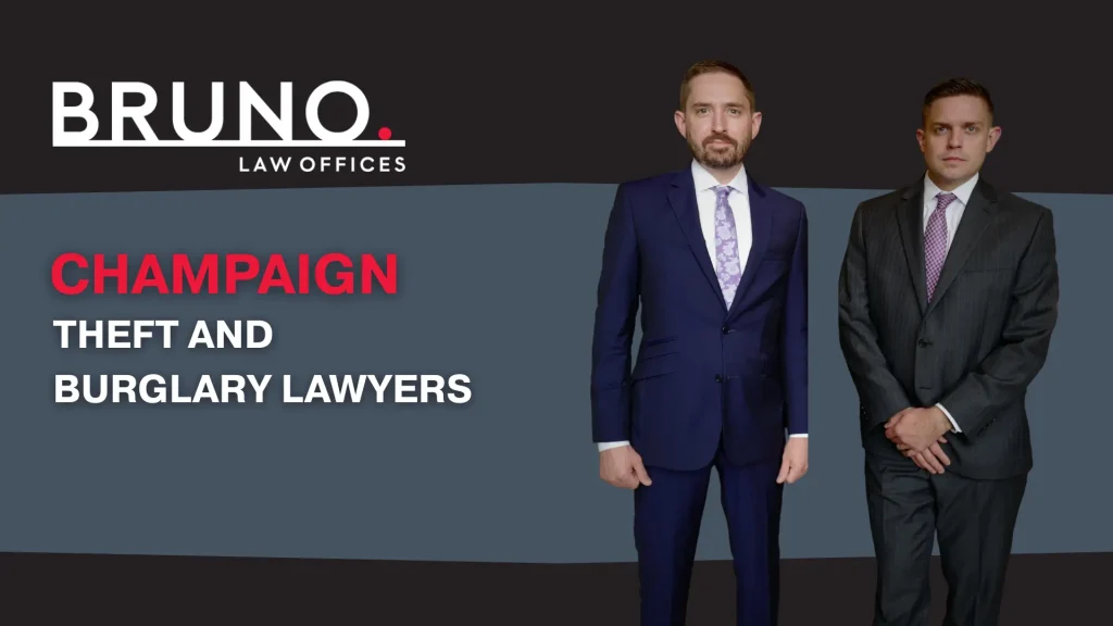 Theft and Burglary Lawyers Image